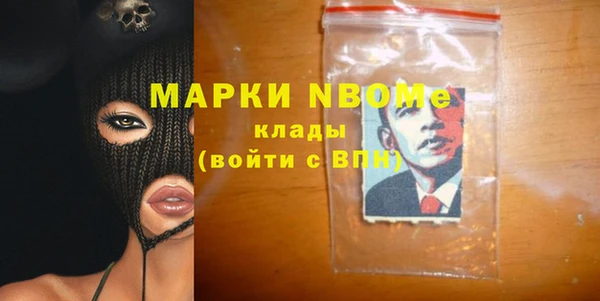 сатива Горняк