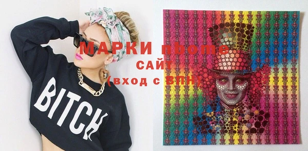 индика Балахна
